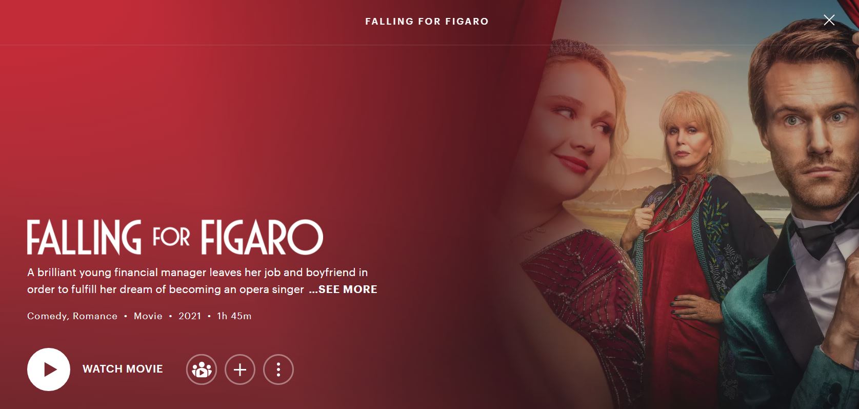 Falling for Figaro Hulu