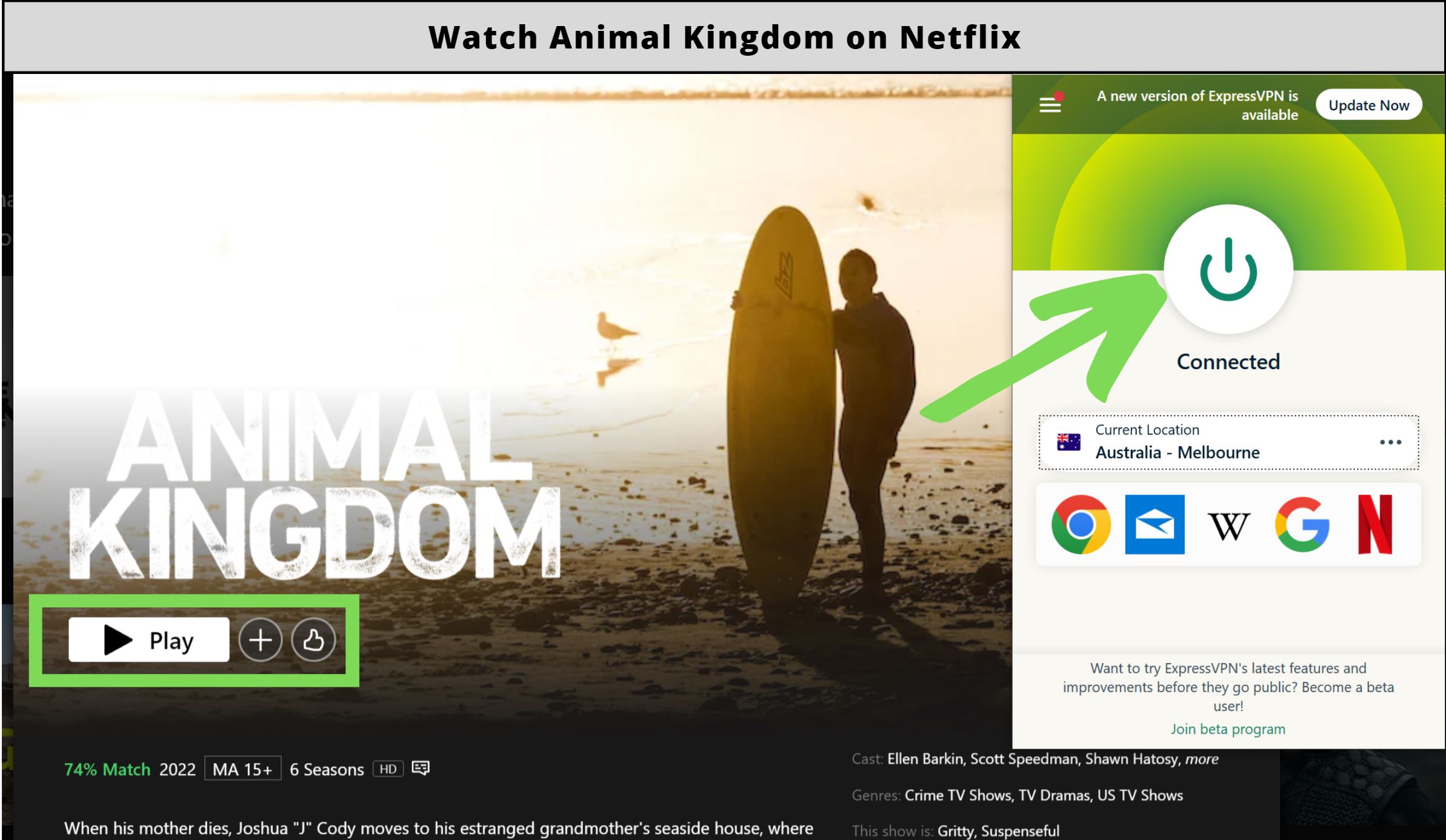 Is Animal Kingdom Season 6 on Netflix?