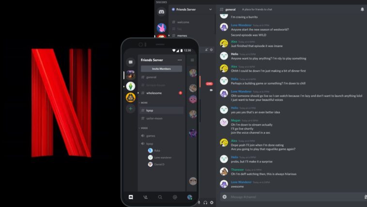 Can You Stream Netflix on Discord?