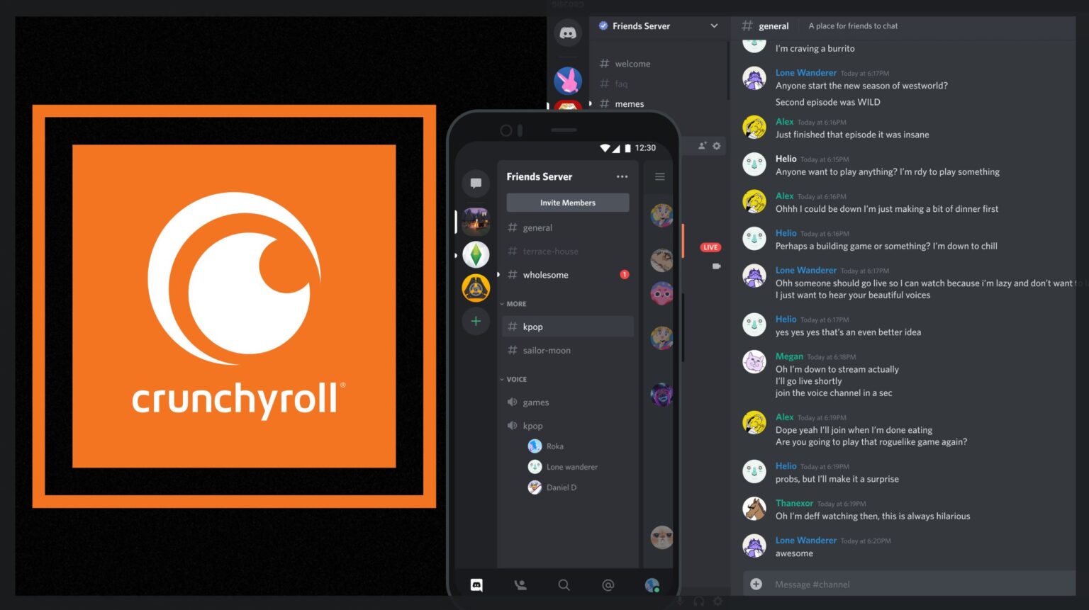 How To Stream Crunchyroll On Discord Without Black Screen?