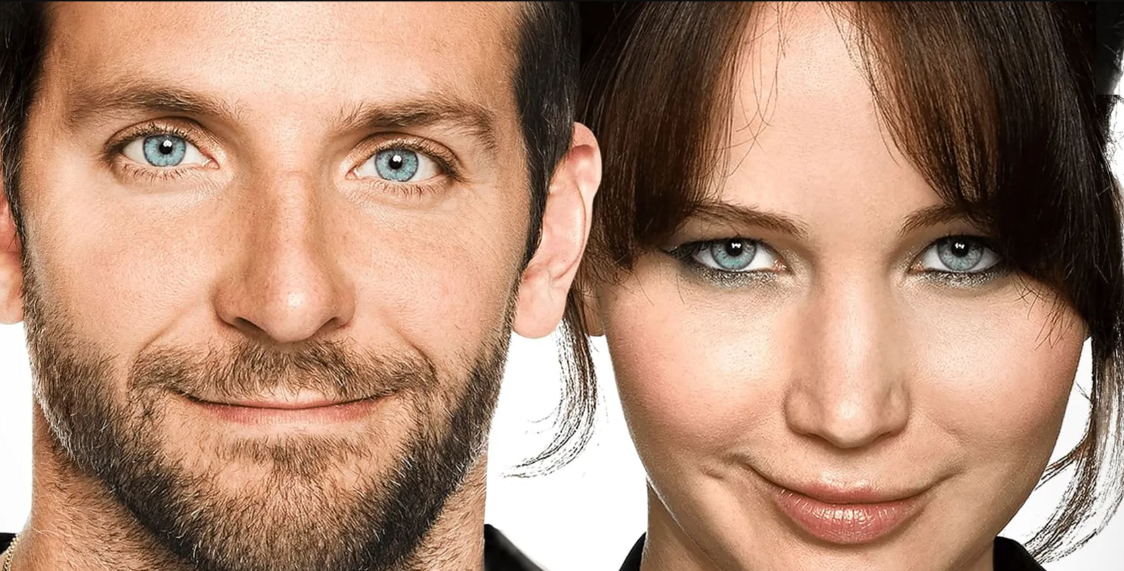 How To Watch Silver Linings Playbook On Netflix From The US