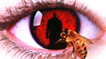 watch Candyman on Netflix