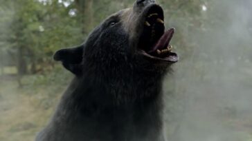 Where to watch Cocaine Bear| If not on Netflix?
