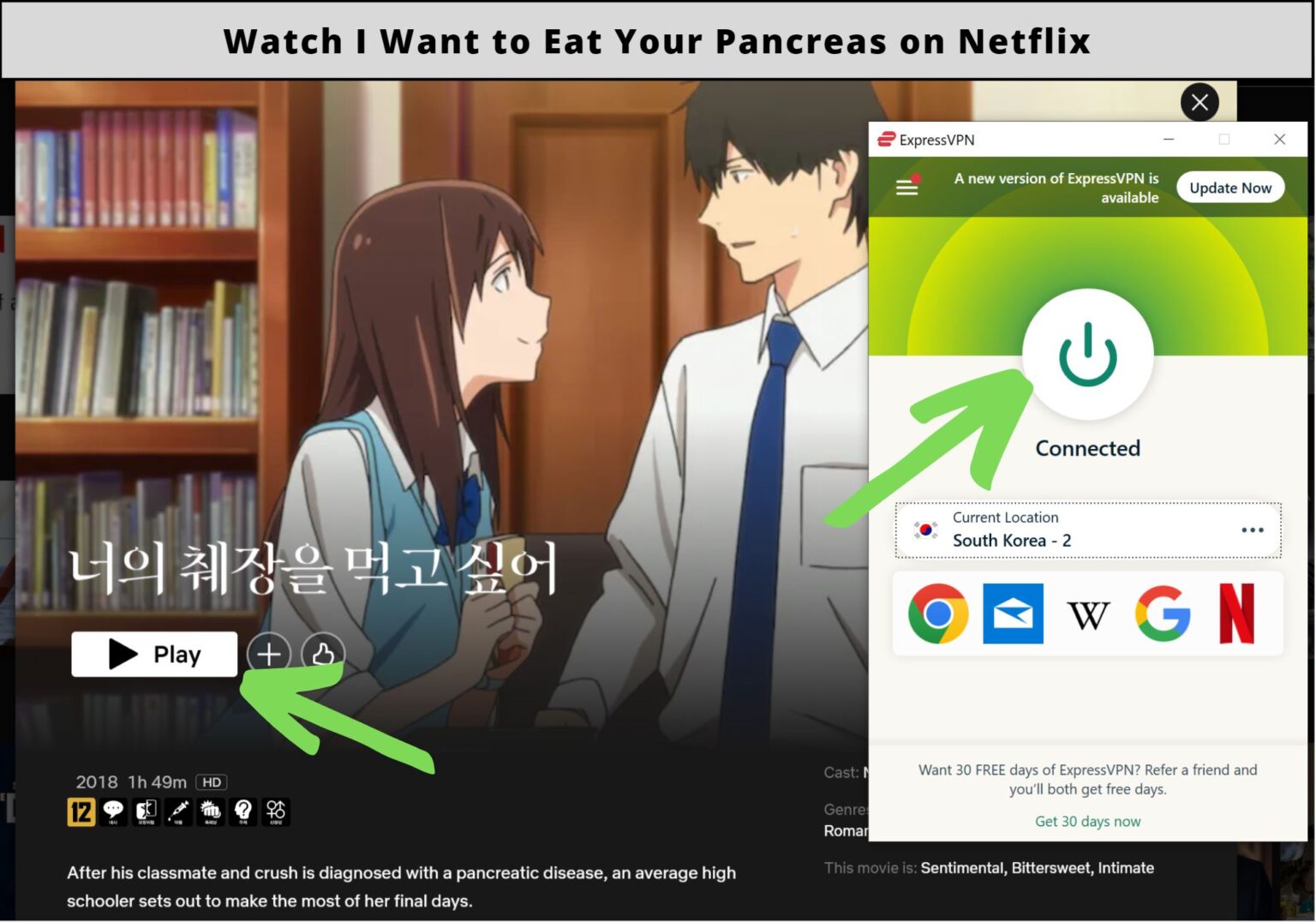 How To Watch I Want To Eat Your Pancreas On Netflix In 2024