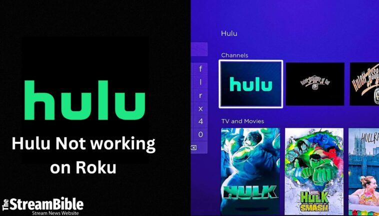 How To Fix Hulu Not working on Roku In 2023?
