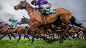 Leopardstown Christmas Festival