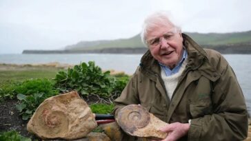 Attenborough and the Giant Sea Monster