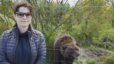 How to watch Sue Perkins: Lost in Alaska