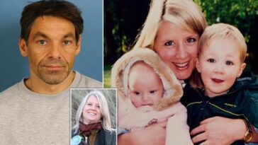 The British Airways Killer