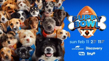 How to watch Puppy Bowl 2024