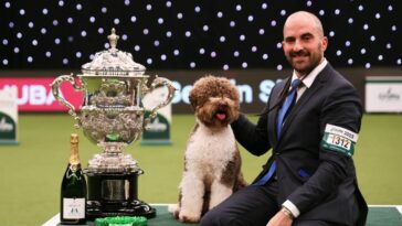 Crufts 2024