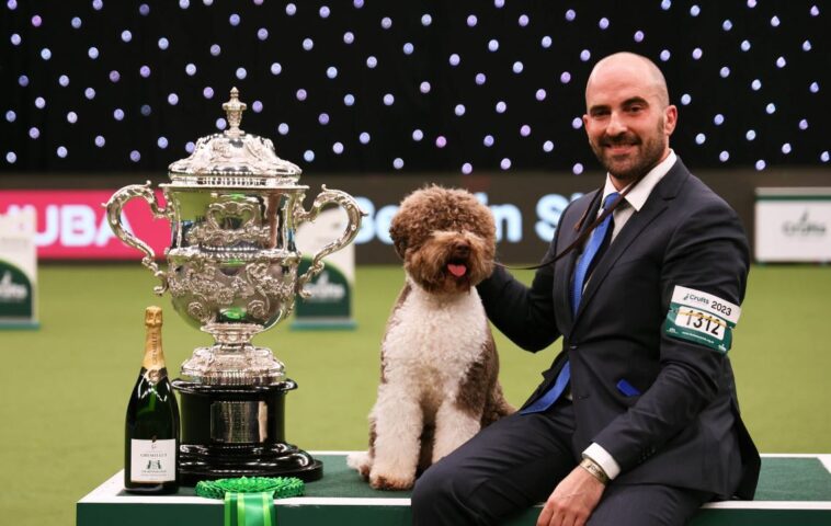 How To Watch Crufts 2024 In European Countries For Free