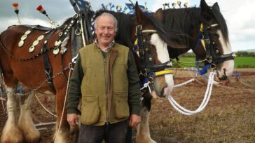 Somerset: Wonder of the West