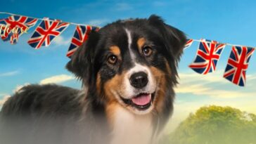 The Dog House Season 5