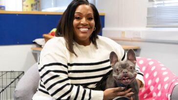 For the Love of Dogs with Alison Hammond