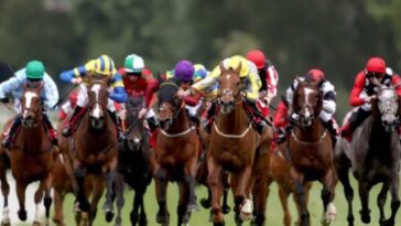 Champions Full Gallop