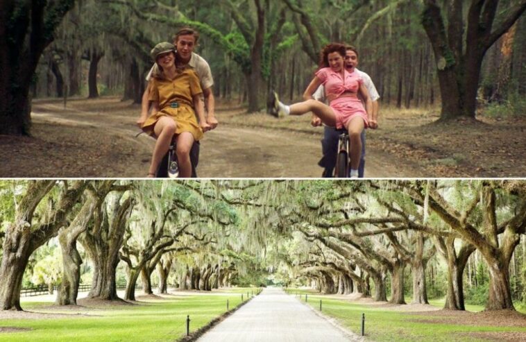 Inspiration from Movies Filmed in Charleston